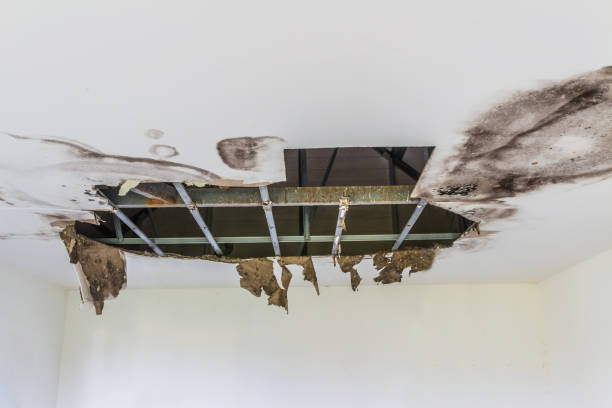 Istockphoto-942179148-612x612