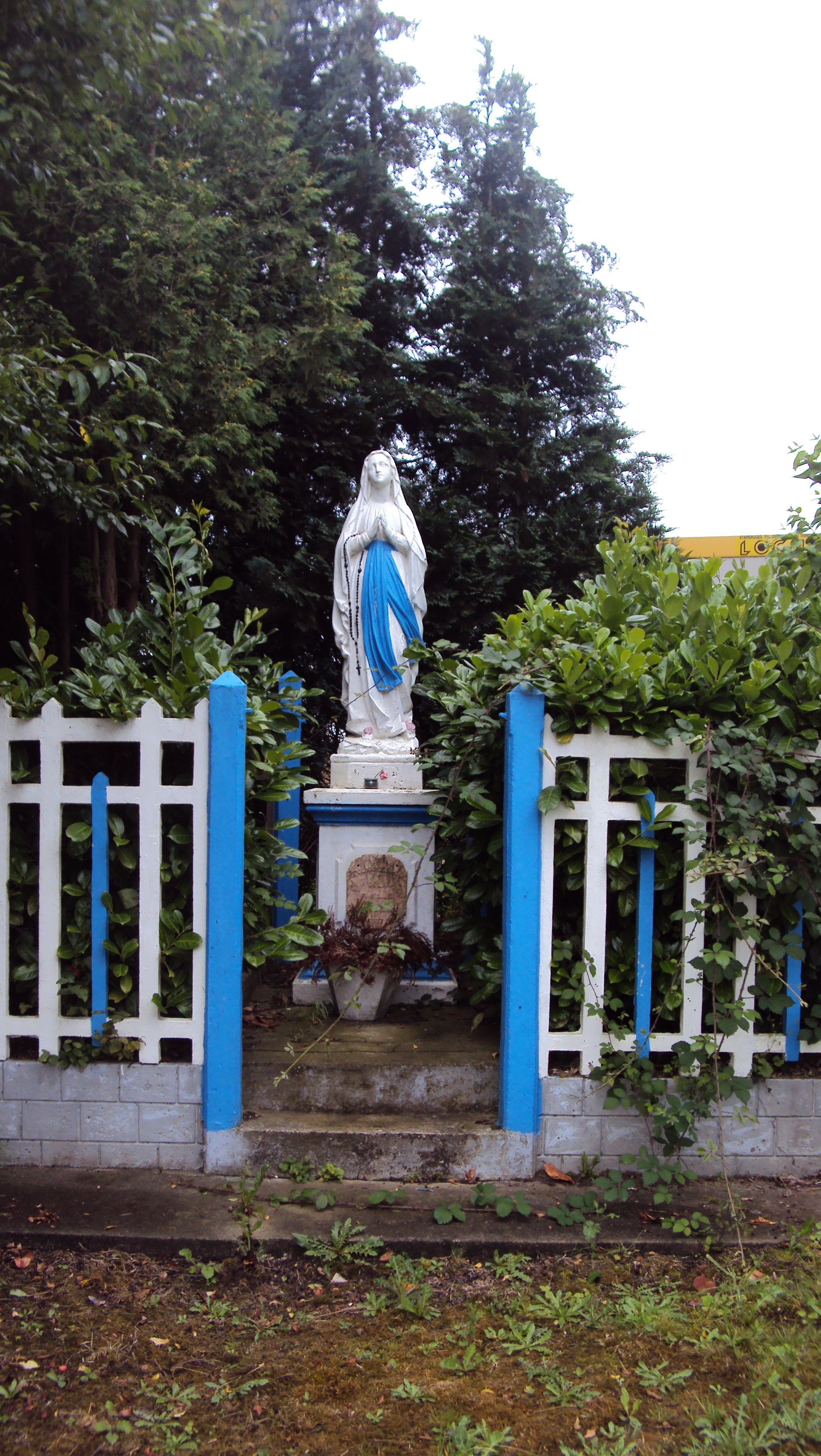 DSC04905
