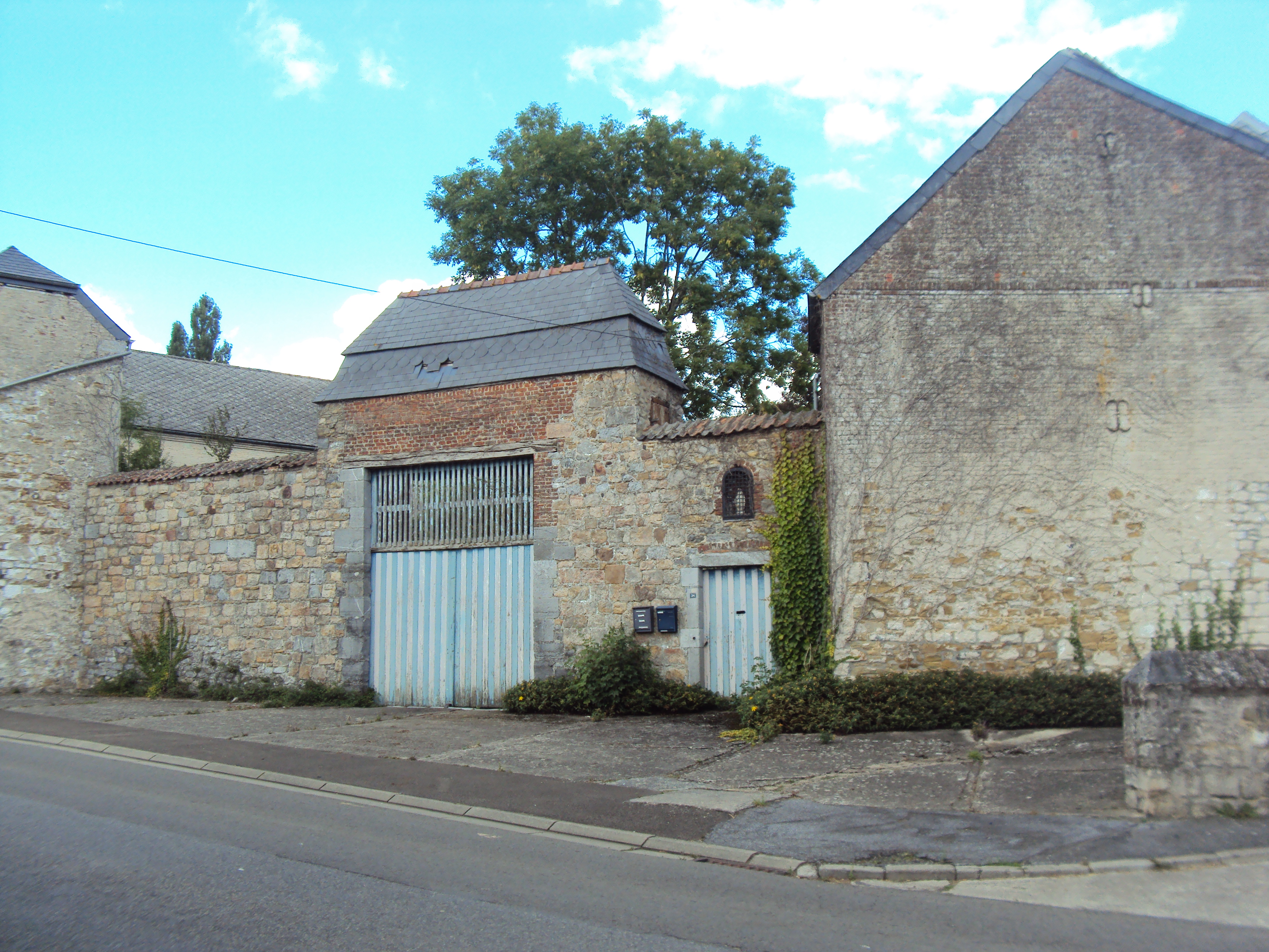DSC03974