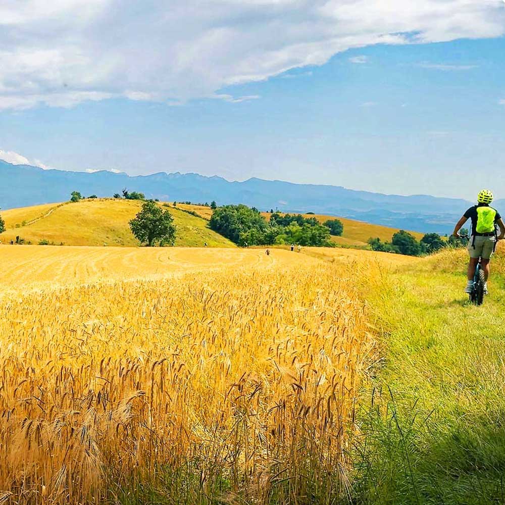 Balades Vertes en Trottinette Électrique Tout Terrain