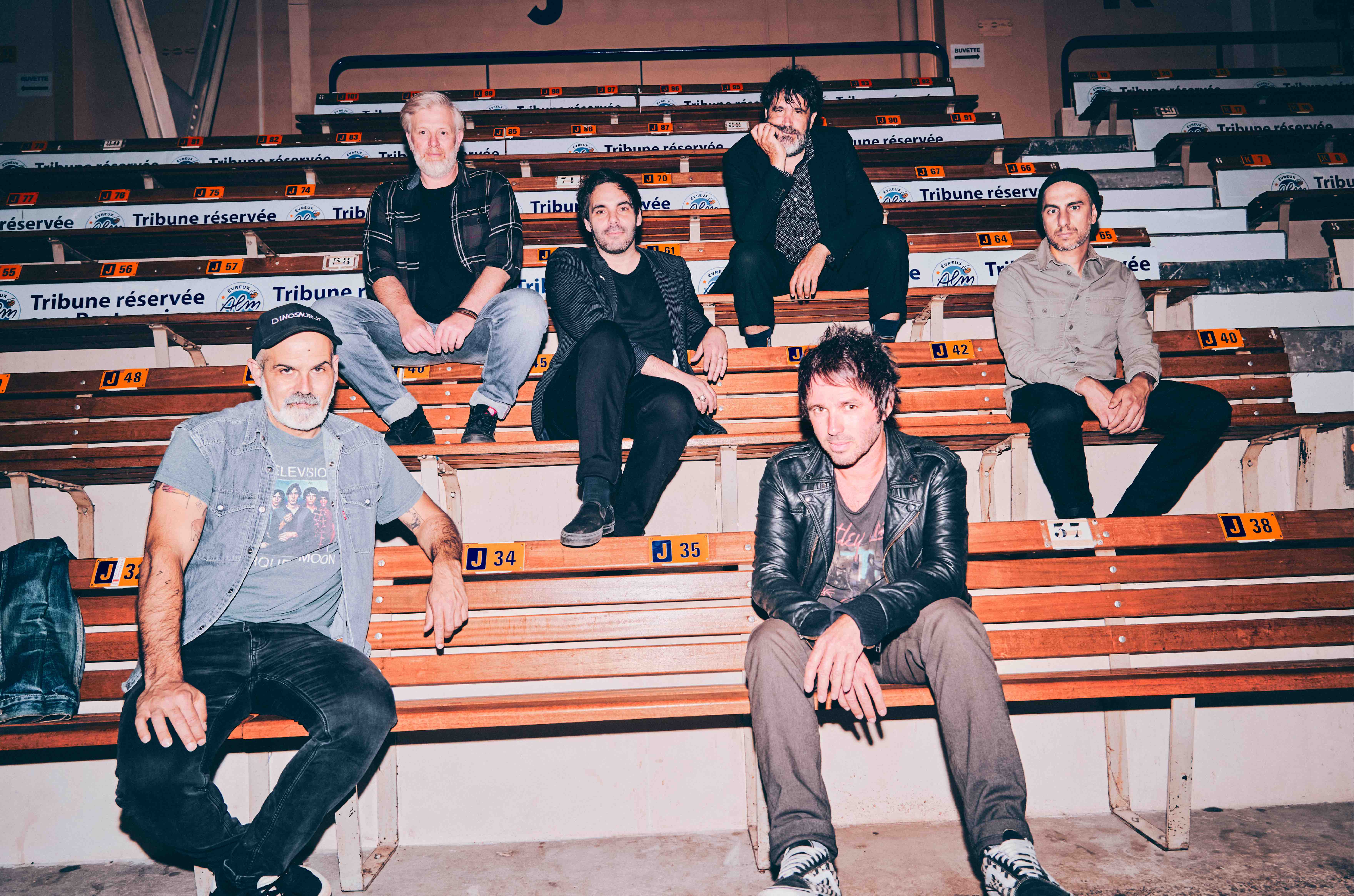 Animal triste a1 00468 color yann orhan min