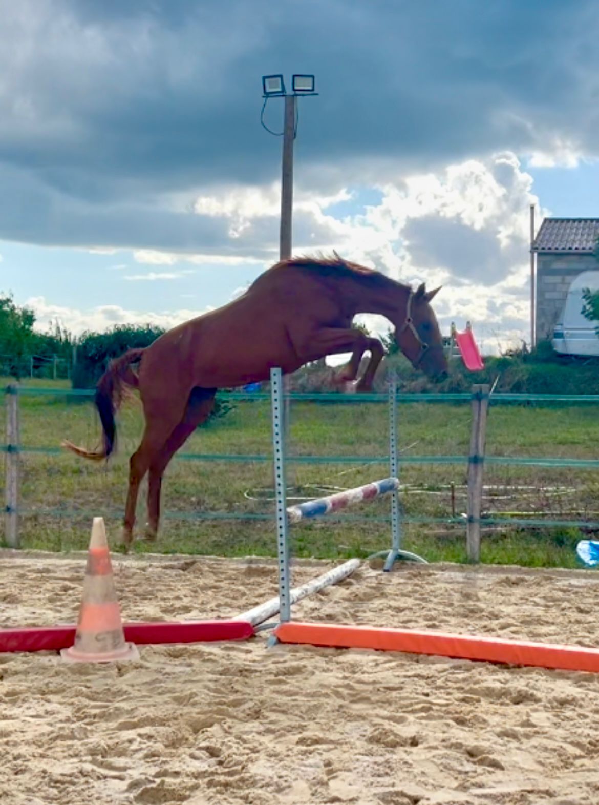 Premier-saut-3-ans