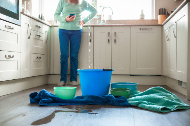 Istockphoto-2075835395-612x612