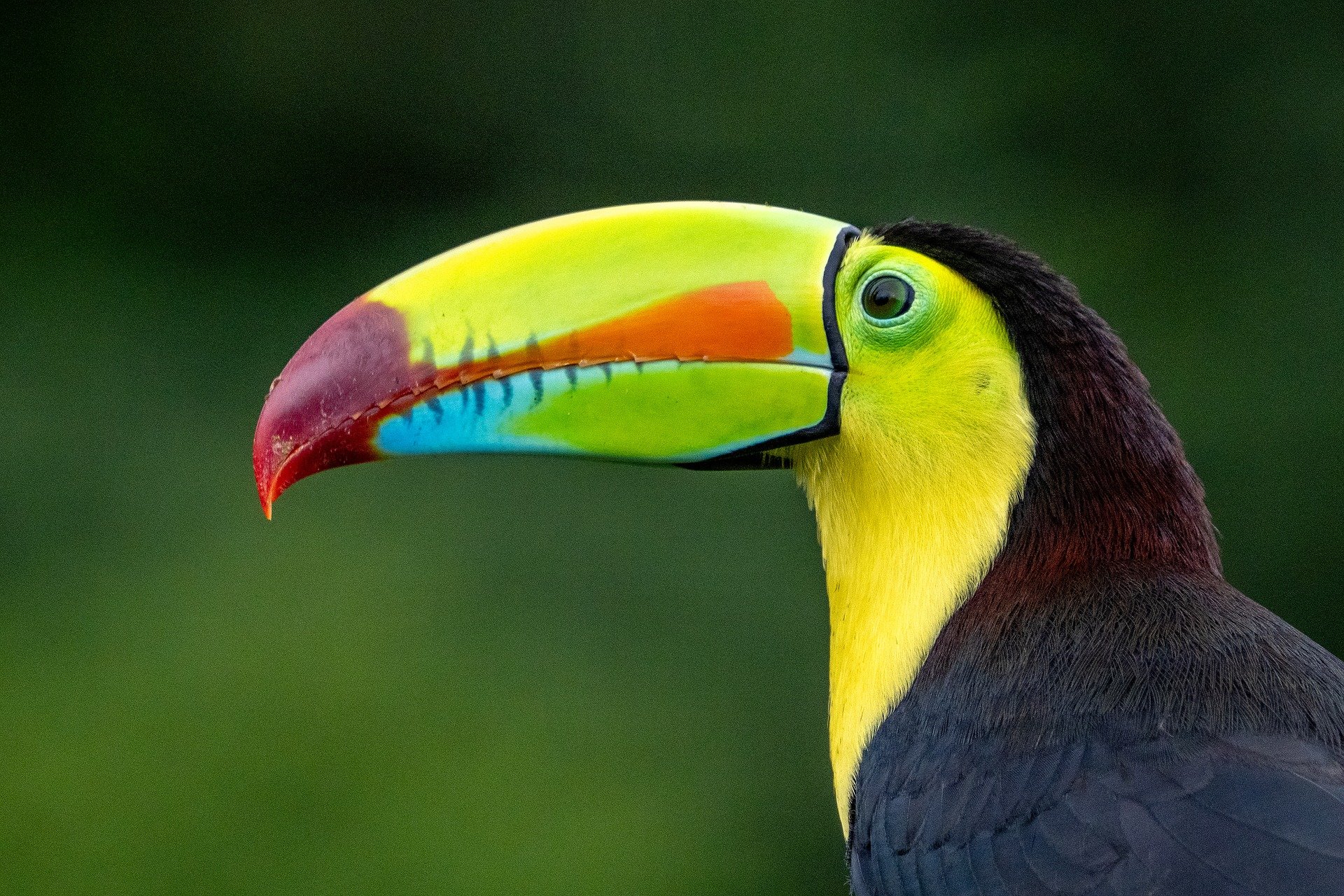 Costa-rica