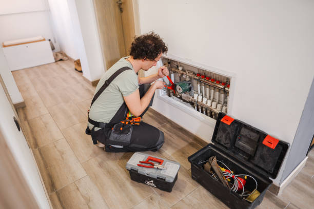 Istockphoto-1465559119-612x612