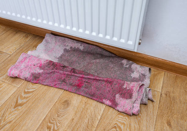 Istockphoto-1180815903-612x612