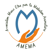Logo-amema