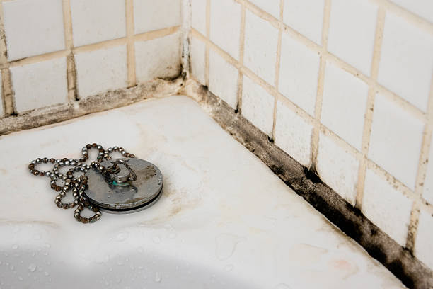 Istockphoto-187234660-612x612