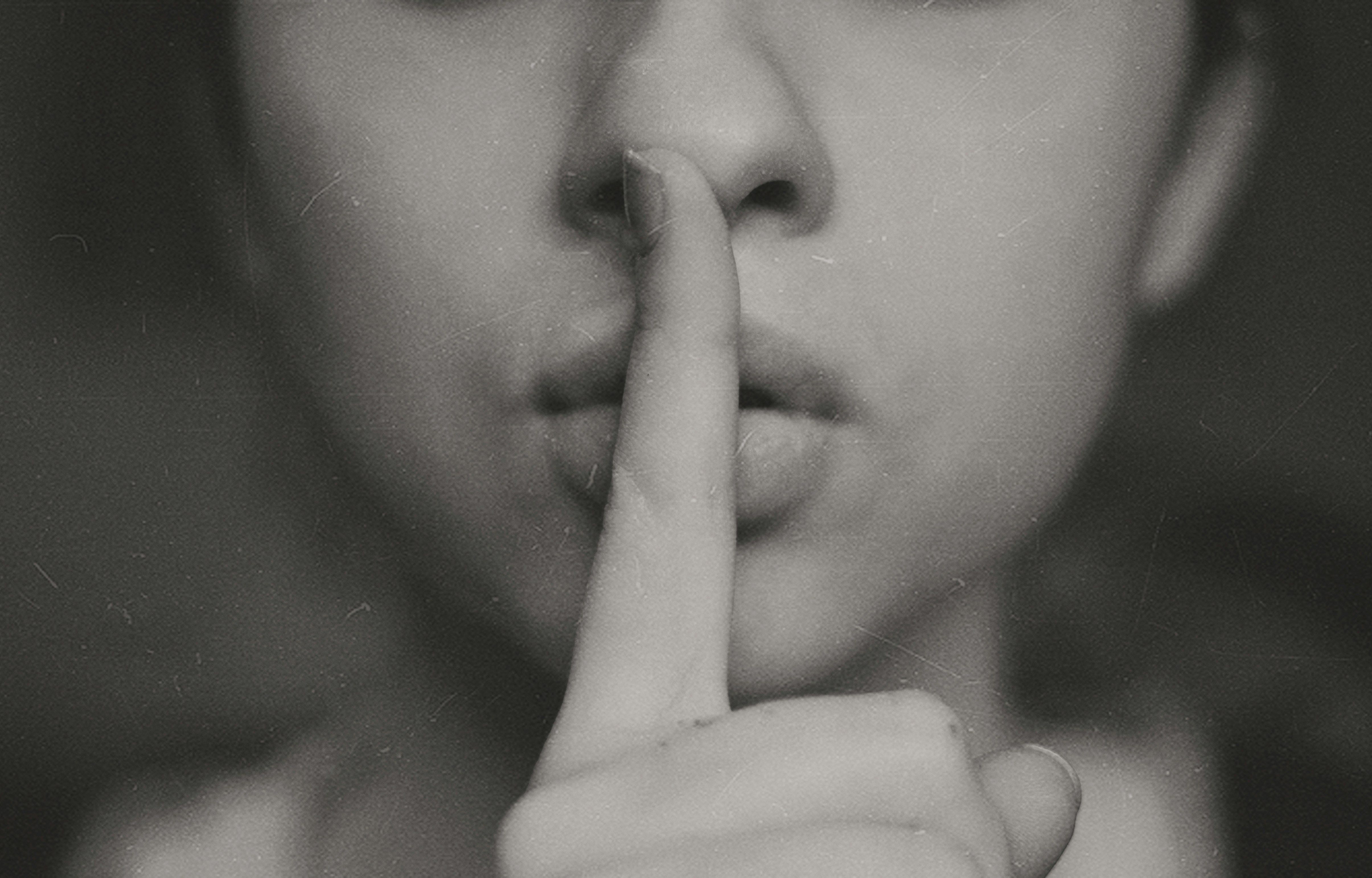 Le biographe et les secrets de famille