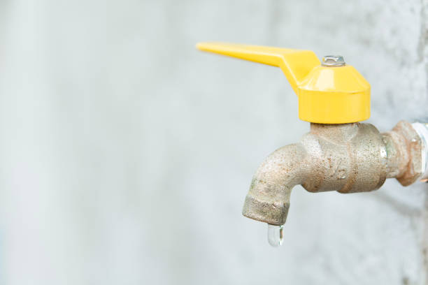 Istockphoto-1587763081-612x612
