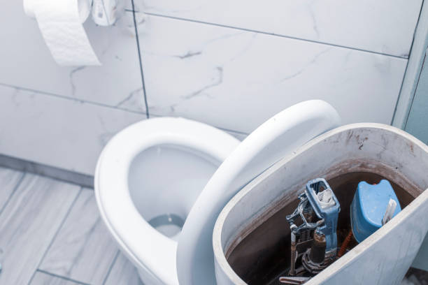 Istockphoto-1474402539-612x612