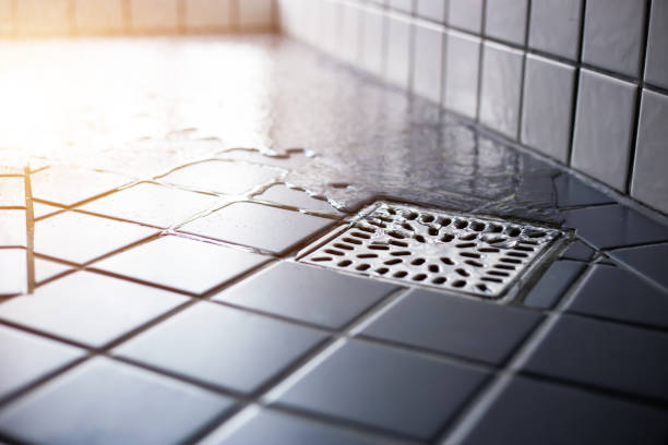 Istockphoto-2166836639-612x612
