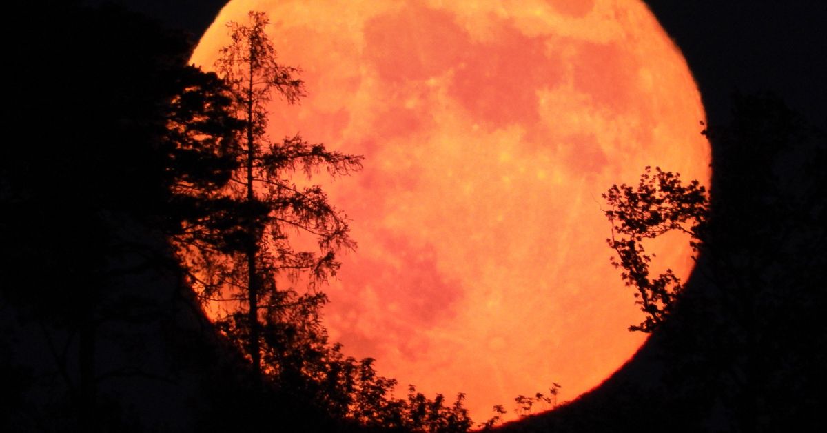 Pleine lune du 07 Zeptembre 2025