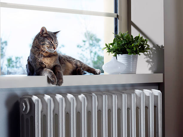 Istockphoto-474424655-612x612