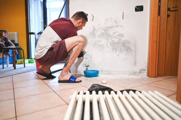 Istockphoto-2160557799-612x612