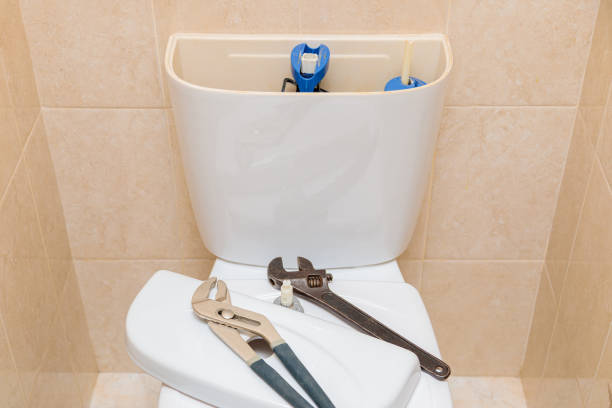 Istockphoto-1303568261-612x612