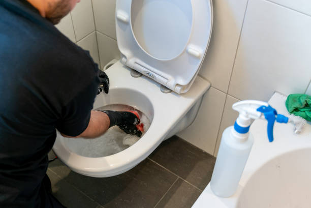 Istockphoto-1248169230-612x612