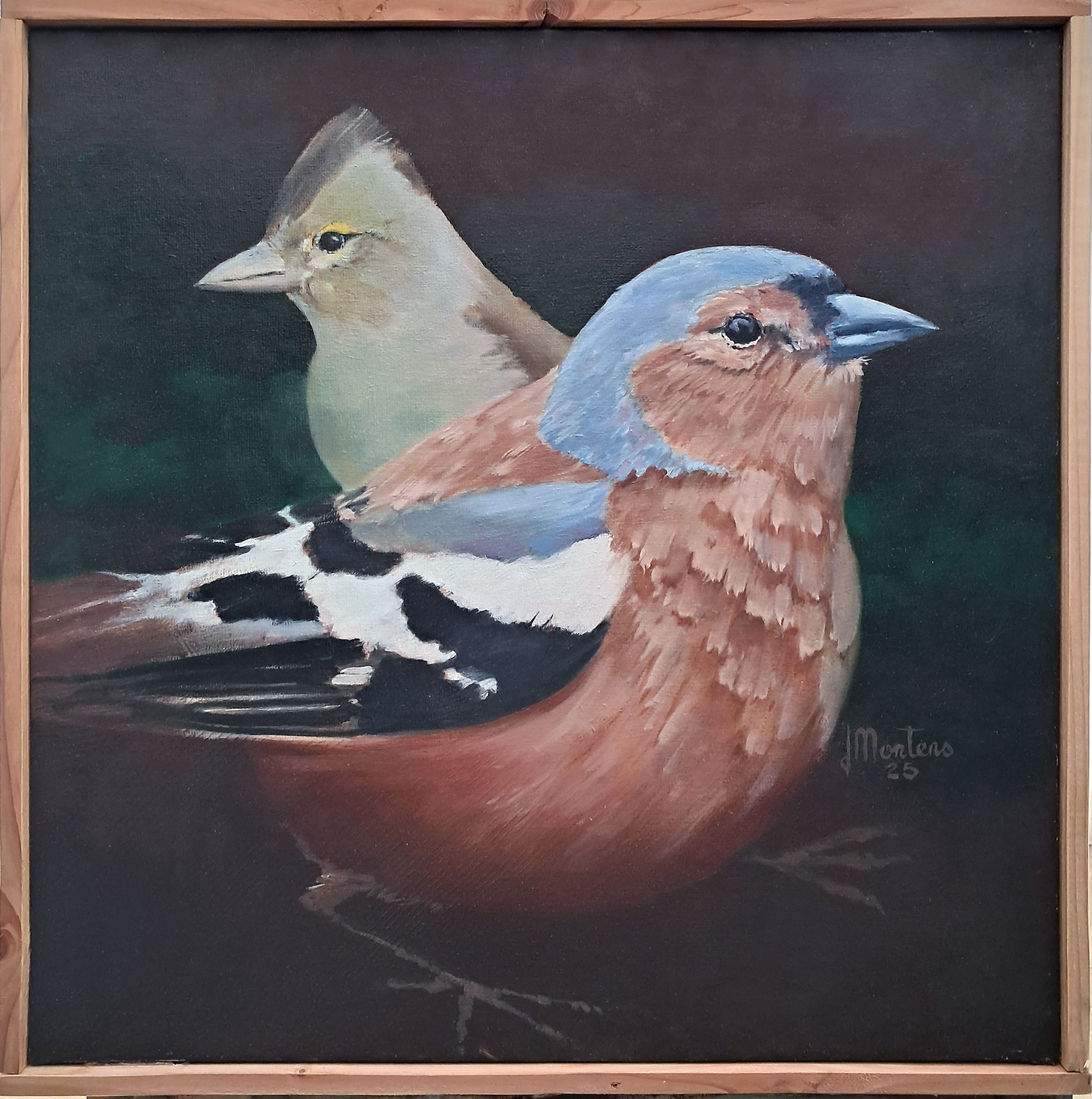 Pinson des arbres copie