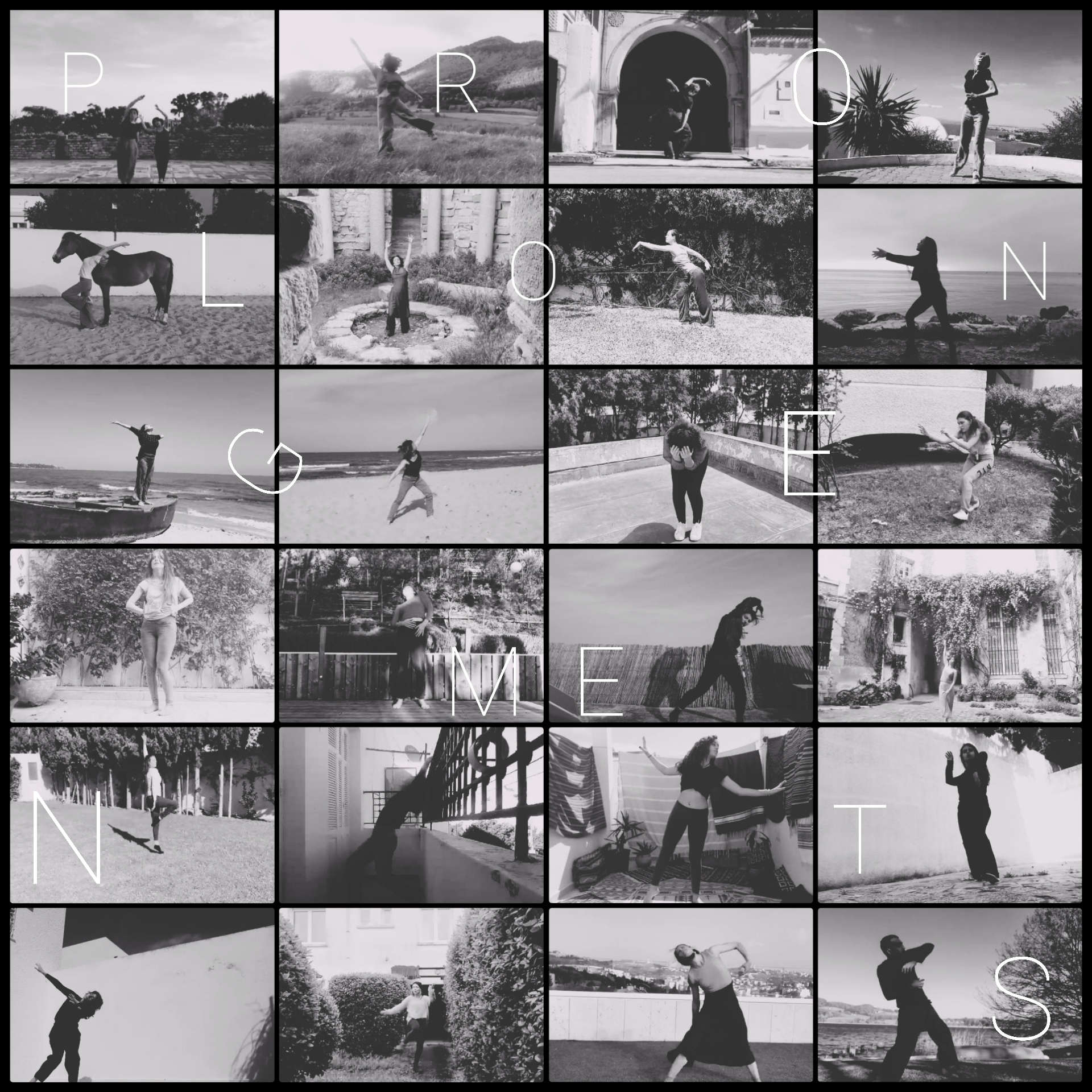 Collage-final