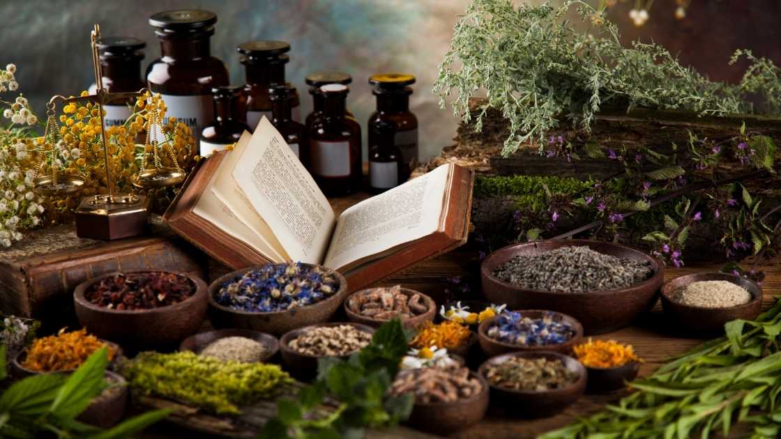 Thumbnail La-phytotherapie-pour-traiter-les-maux