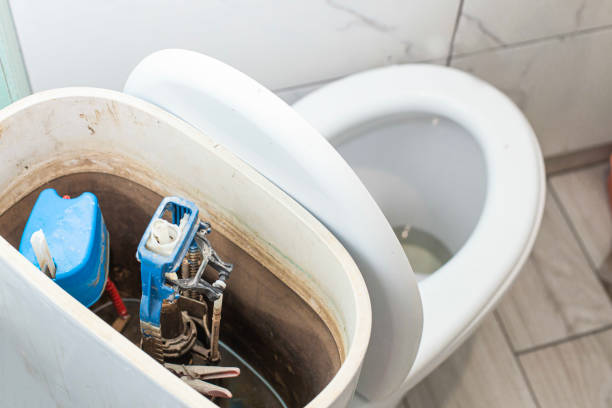 Istockphoto-1474402531-612x612