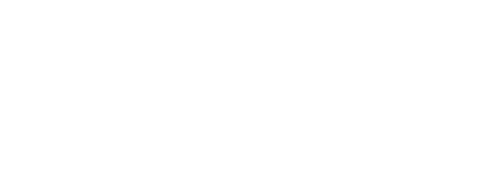 Dir-1