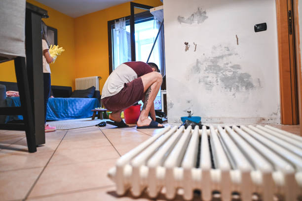 Istockphoto-2160557871-612x612