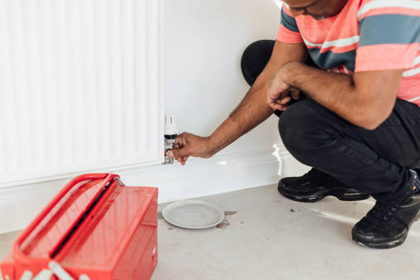 Istockphoto-1454378743-612x612