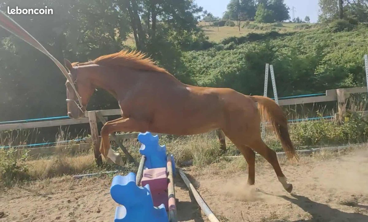 C0ff0ca768802e79035f0dbfe43f0af454186d42