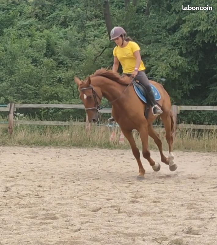 8193a1ca5e227356ad9af1db2844ad01d80b73b5