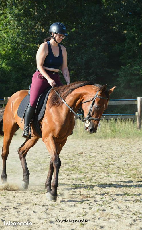 D2ad13b0fe435cca4e0263c33e32df2357b254a1