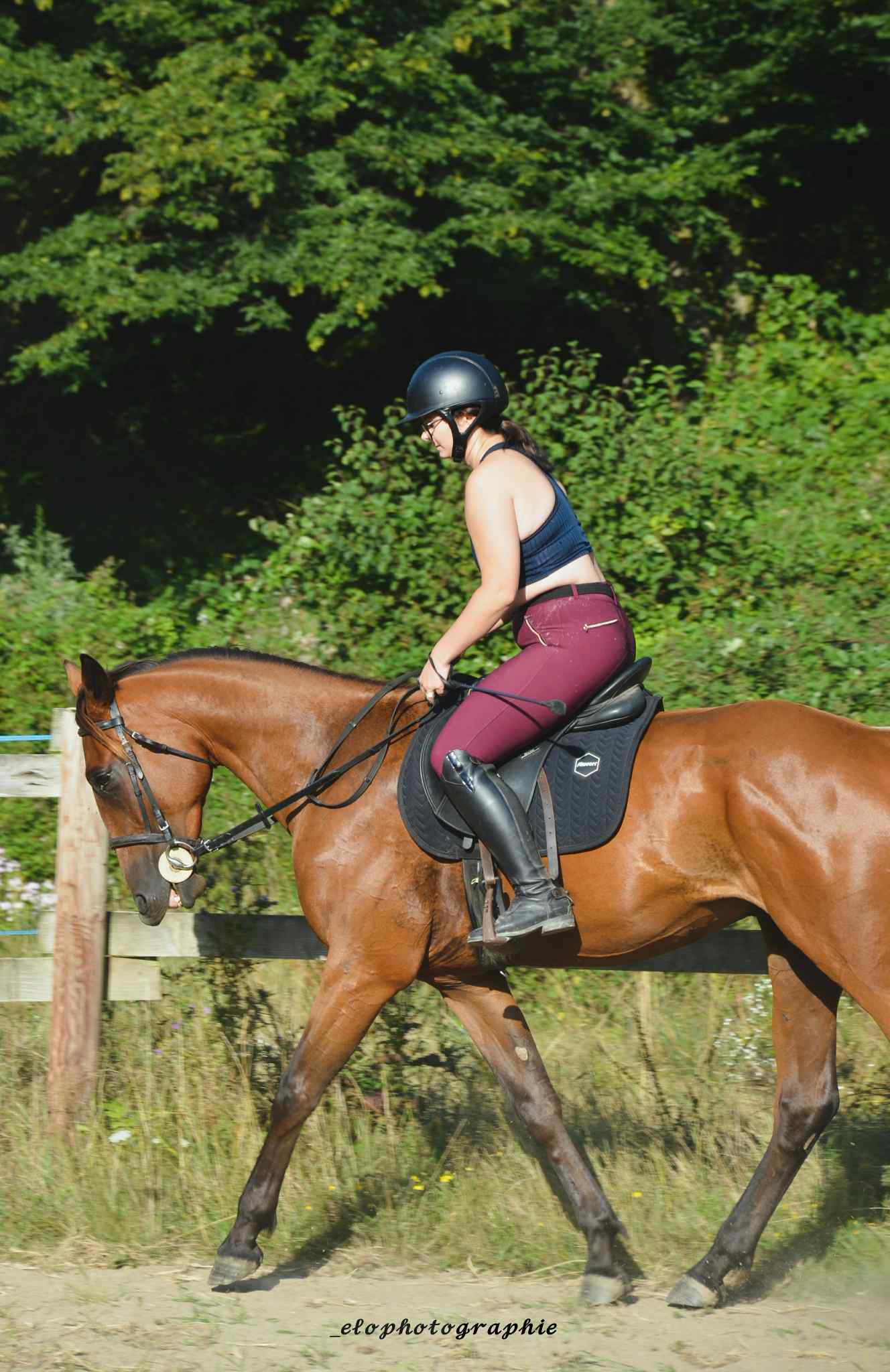 533397348 1255105746413019 4616525179418035320 n