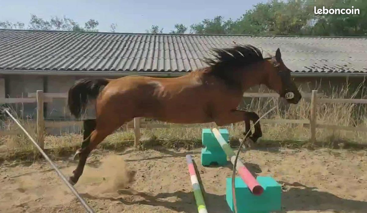 59672dbb16d247637df6cb5b6f7b6f8ccda2385d