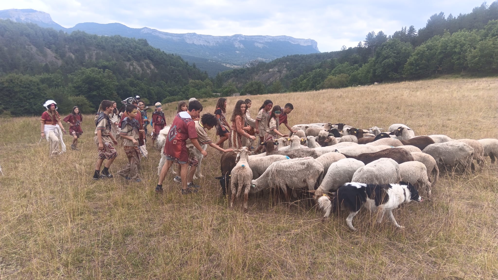 523915183 24280334161579334 3474479595174107008 n