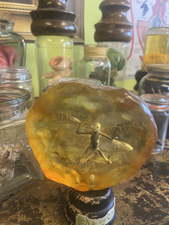 529825419 24400246092921473 82113226129015946 n