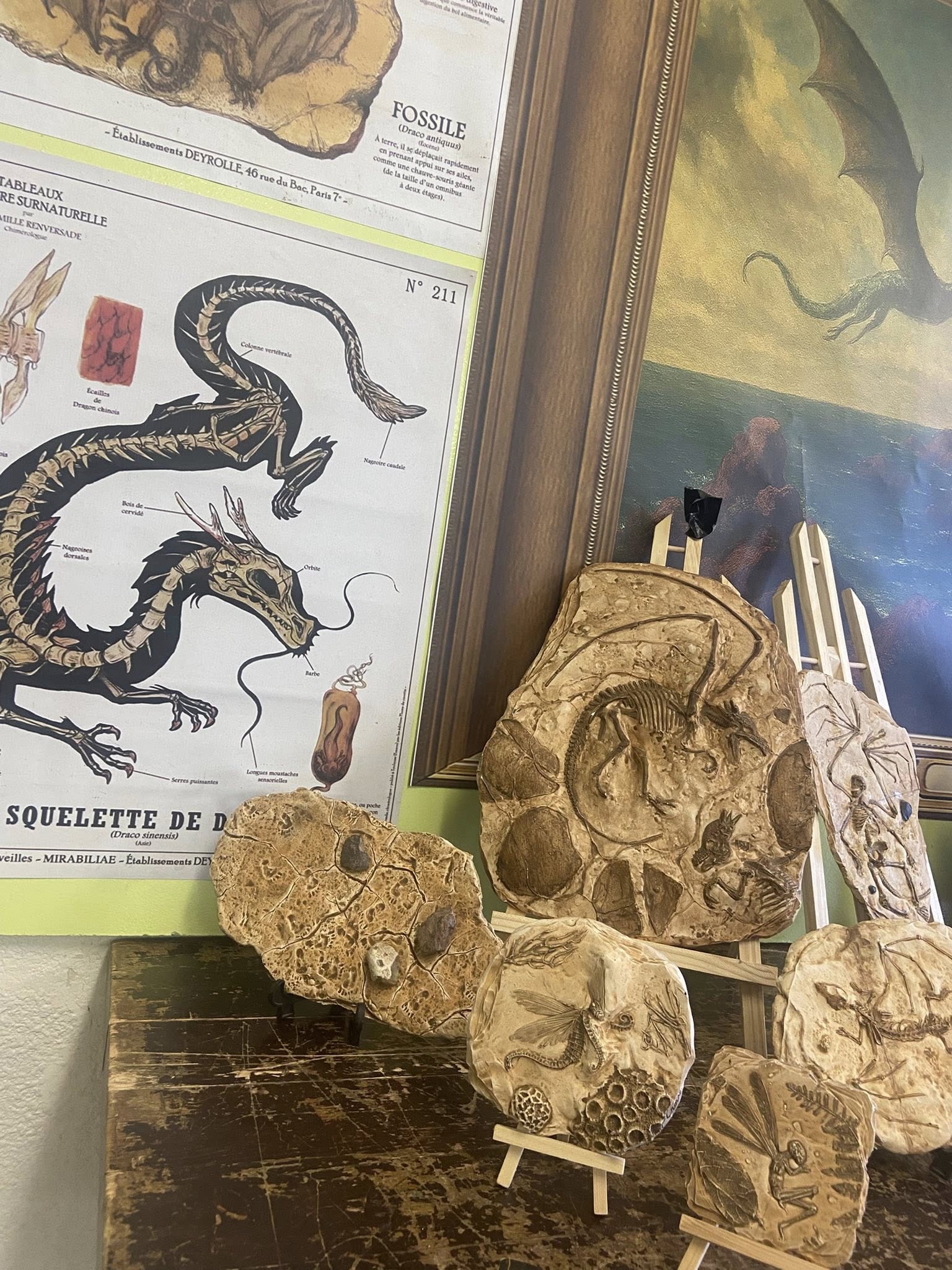 529748874 24400249226254493 3914569415056836845 n