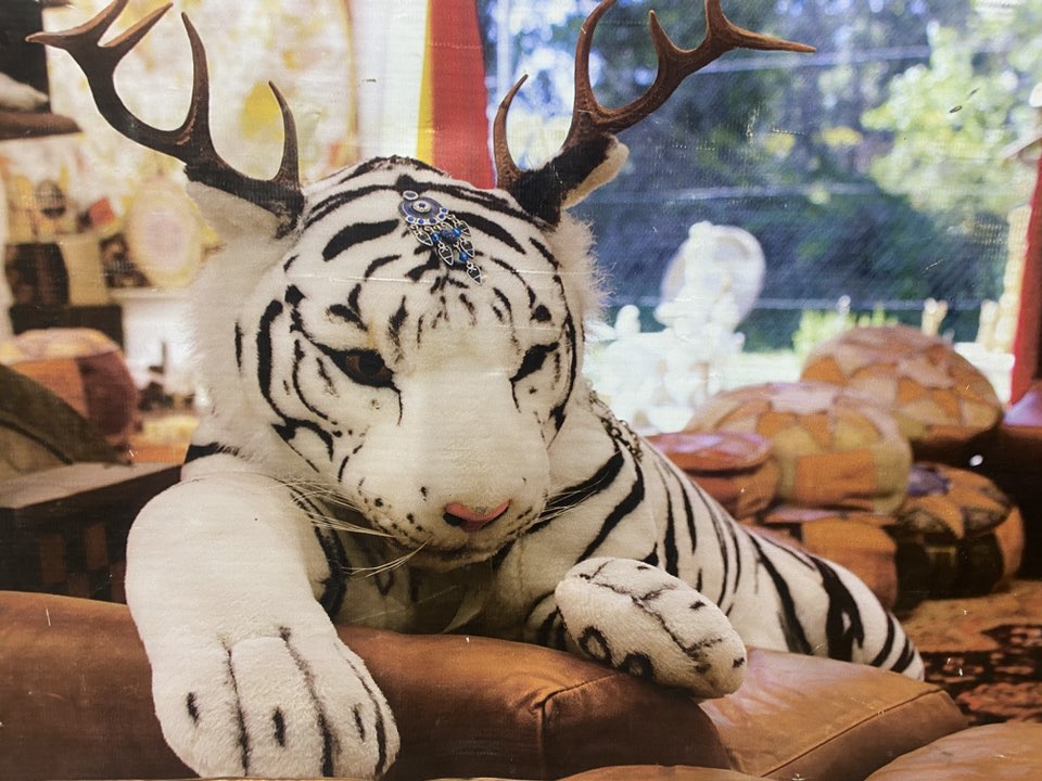 533510602 24439159879030094 5635204645799634139 n