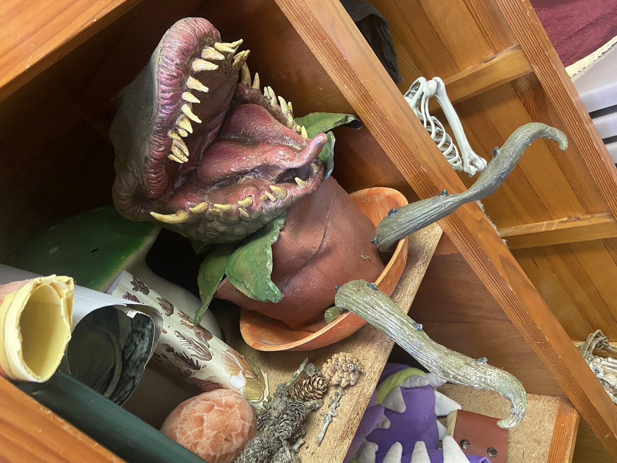 534684519 24474183652194383 3684640556860613822 n