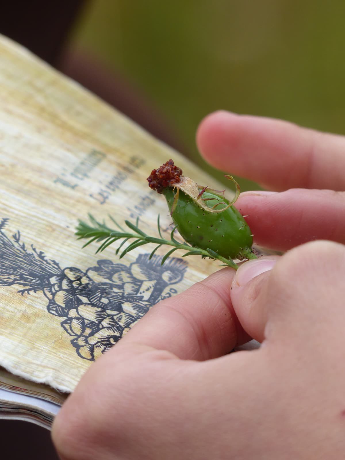 538596546 24524382143841200 176552598757030396 n