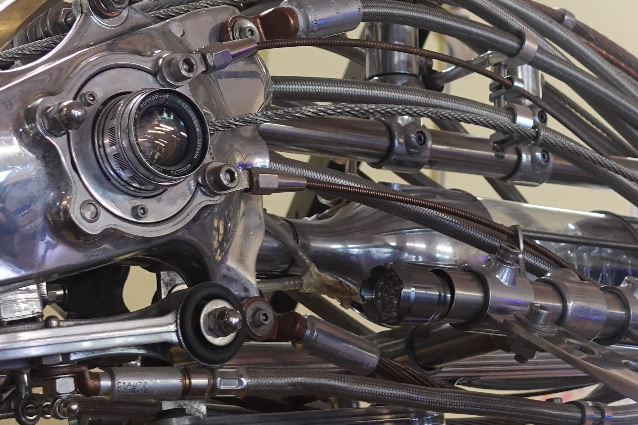 515009817 24107959945483424 8965935598769420331 n