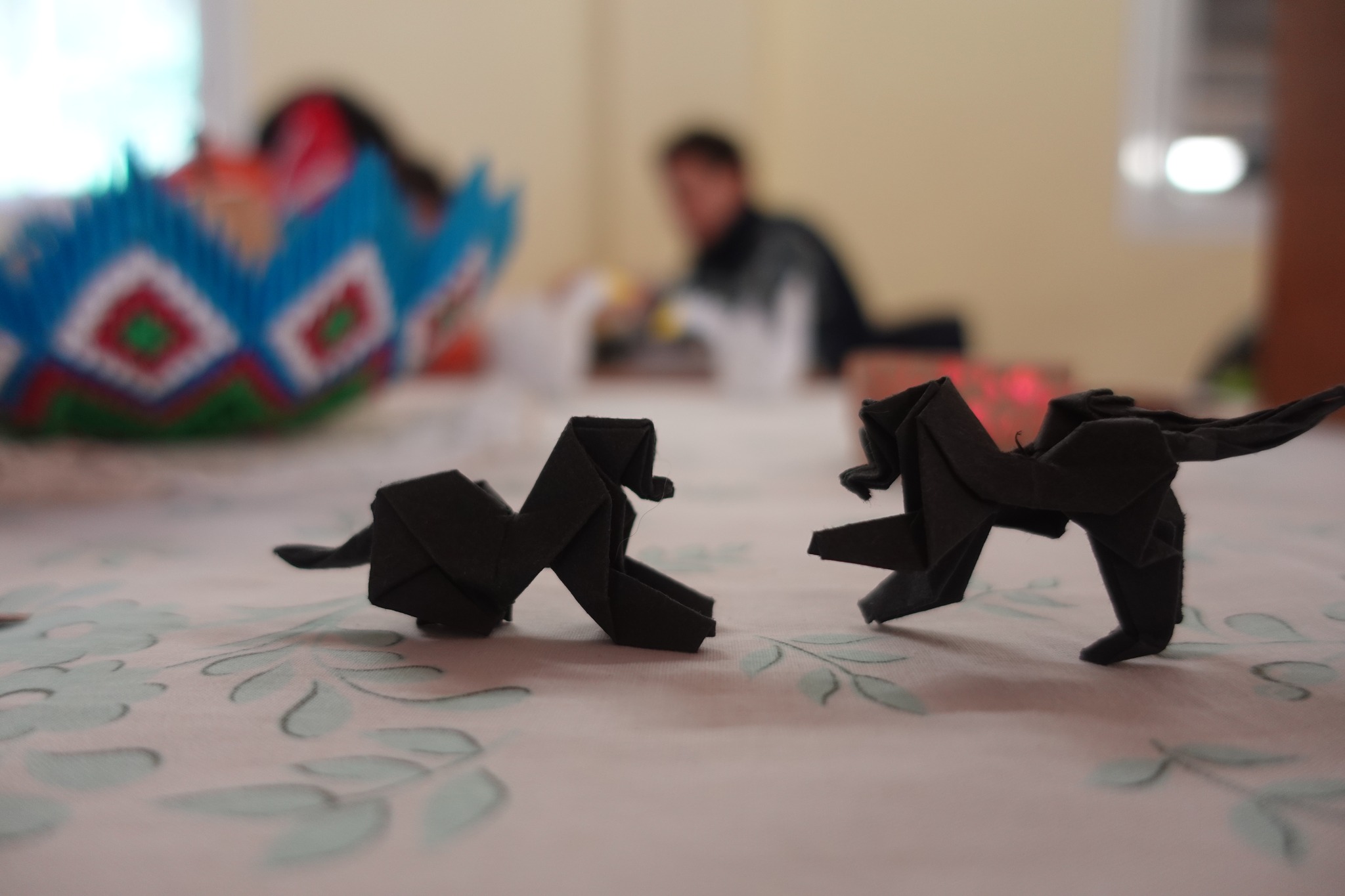 515012003 24107957558816996 1678750980839869626 n