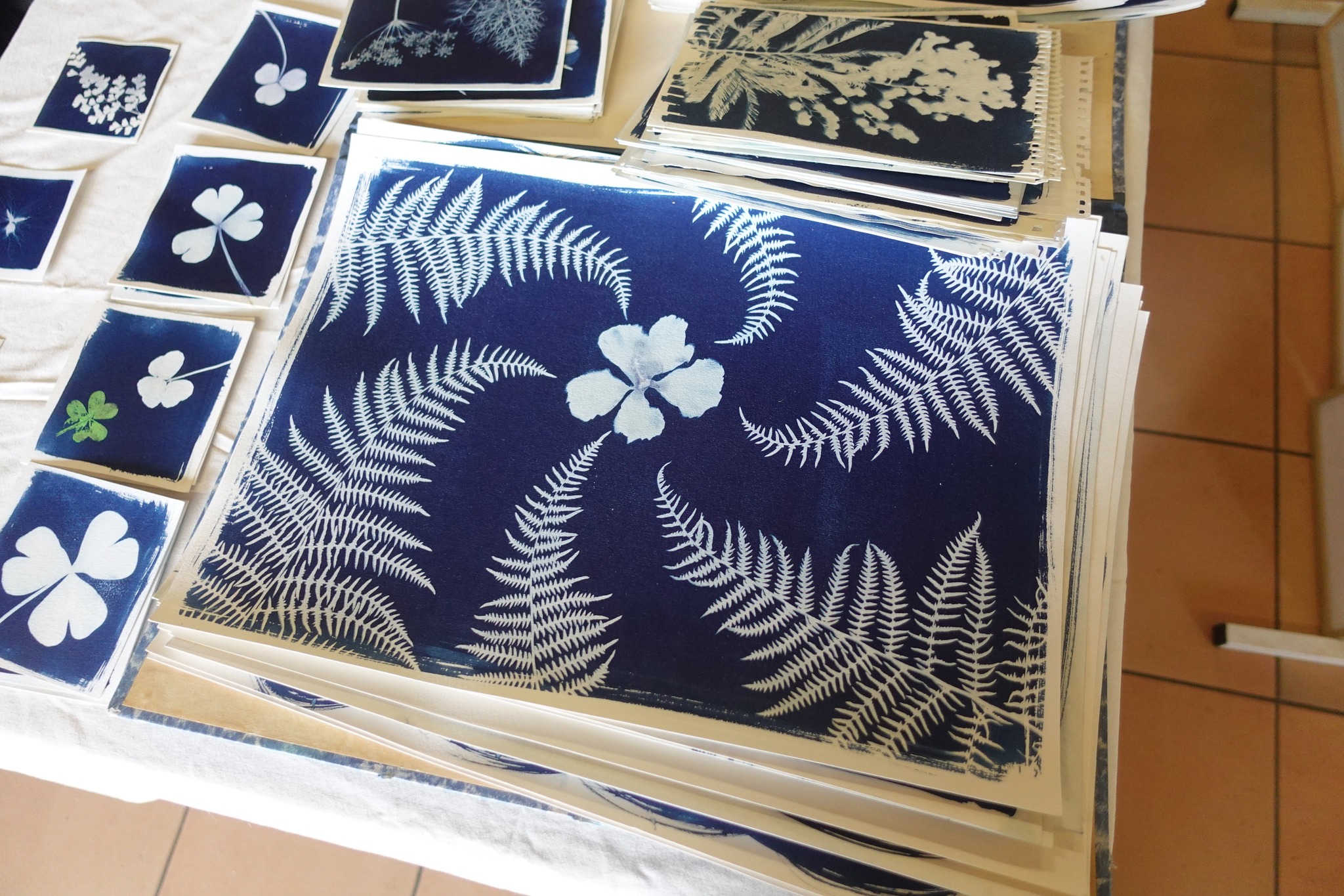 514967871 24107957515483667 2857239179227687976 n