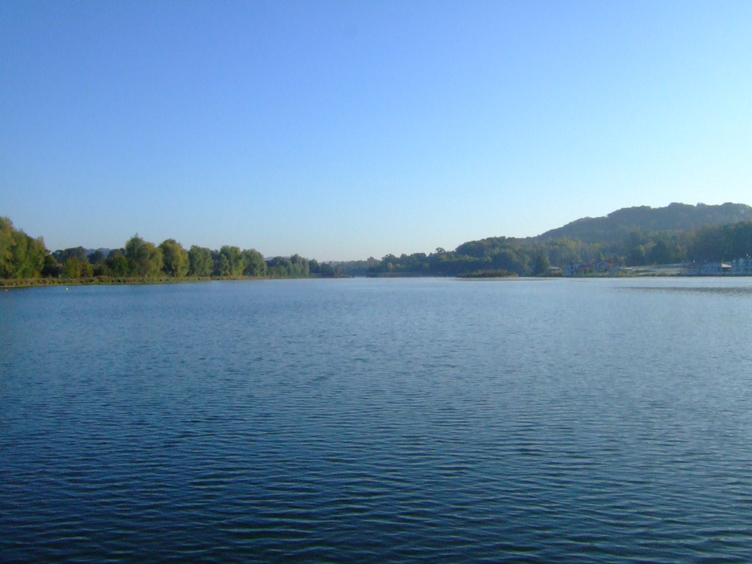 Image1
