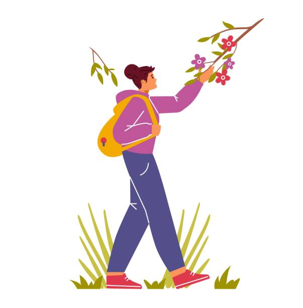 Illustration balade