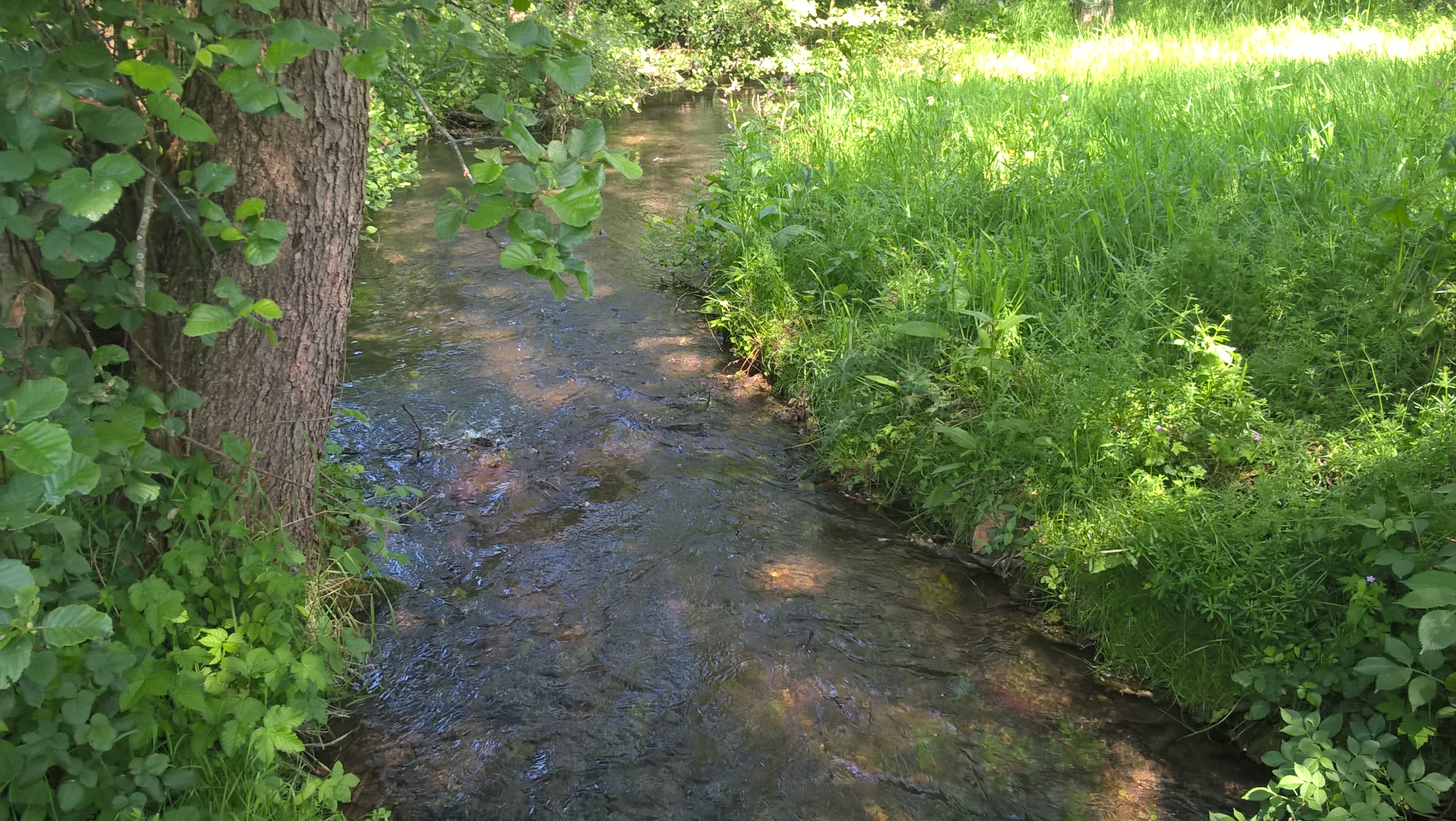 Wp 20180517 11 52 40 pro-jourdain-a53