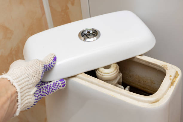 Istockphoto-1390650226-612x612
