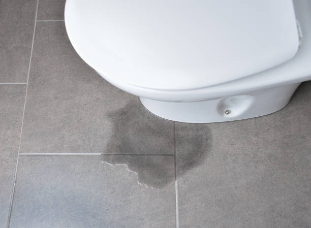 Istockphoto-1025059630-612x612