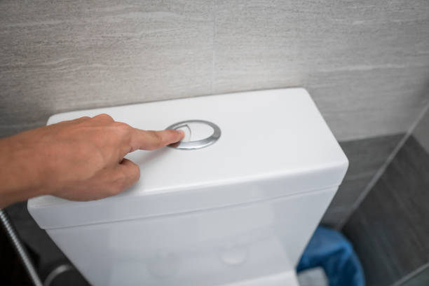 Istockphoto-1198452165-612x612