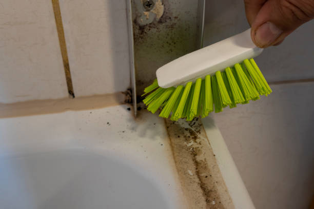 Istockphoto-1341845158-612x612