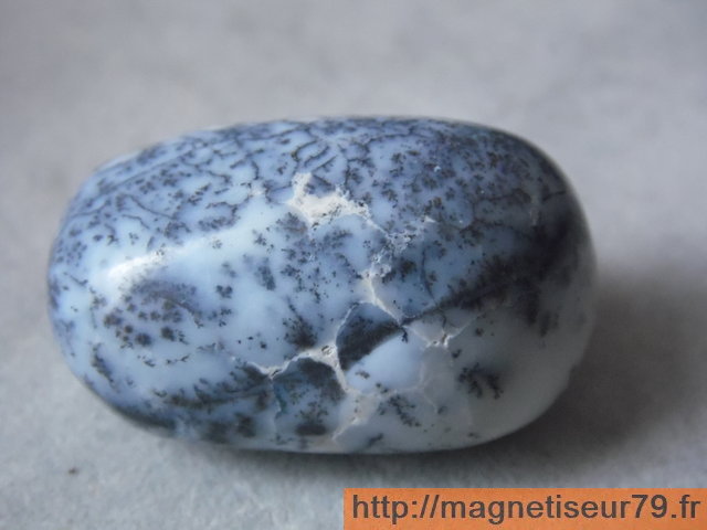 Calcedoine-Denditrique-A-25g-50g-1